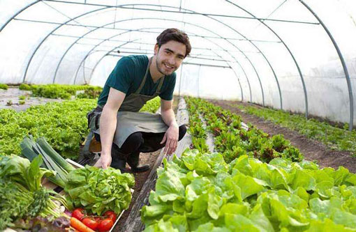 CO2 gas detector in greenhouse