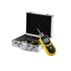 Portable gas detector